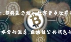 xiaozhici区块链公共钱包推