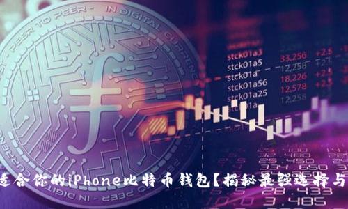 如何选择适合你的iPhone比特币钱包？揭秘最强选择与隐秘技巧！