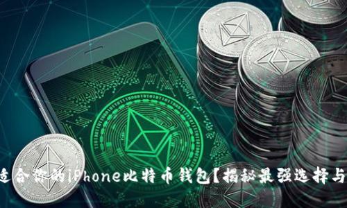 如何选择适合你的iPhone比特币钱包？揭秘最强选择与隐秘技巧！