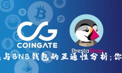 ### 以太坊钱包与BNB钱包的互通性分析：你可能不知道的秘密