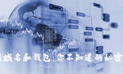 区块链域名和钱包：你不