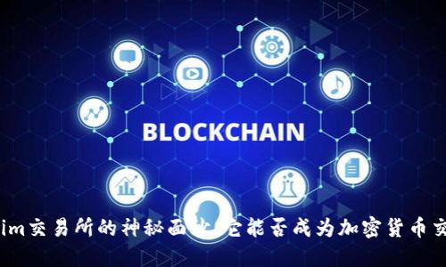 揭开Tokenim交易所的神秘面纱：它能否成为加密货币交易的新宠？