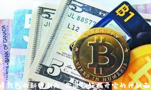 
比特币钱包的秘密钥匙：你准备好揭开它的神秘面纱吗？