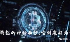 揭开区块链钱包的神秘面