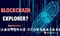 解锁区块链钱包的秘密：