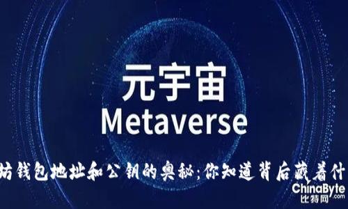 以太坊钱包地址和公钥的奥秘：你知道背后藏着什么吗？
