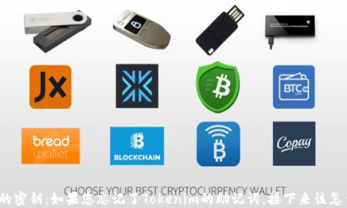 
失落的密钥：如果您忘记了Tokenim的助记词，接下来该怎么办？
