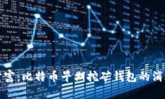 “失落的财富：比特币早