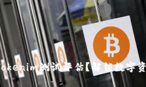 如何进行有效的Tokenim测试评估？解锁数字资产管理的新机遇！