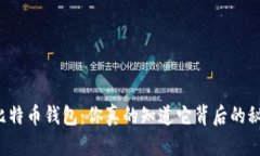 解密比特币钱包：你真的