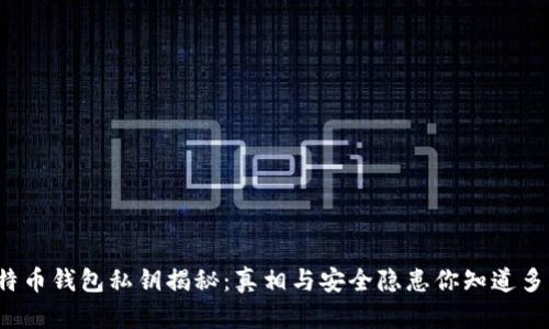 比特币钱包私钥揭秘：真相与安全隐患你知道多少？