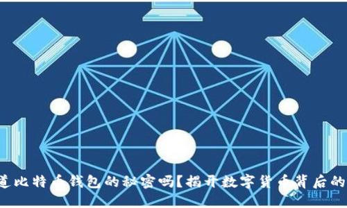你知道比特币钱包的秘密吗？揭开数字货币背后的面纱！