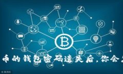当比特币的钱包密码遗失