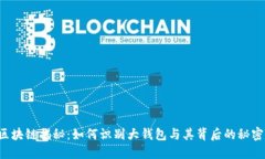 区块链揭秘：如何识别大