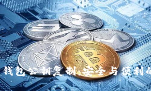 揭秘比特币钱包公钥复制：安全与便利的完美平衡？