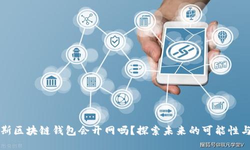 普拉斯区块链钱包会开网吗？探索未来的可能性与挑战