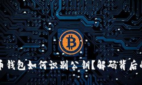 比特币钱包如何识别公钥？解码背后的秘密