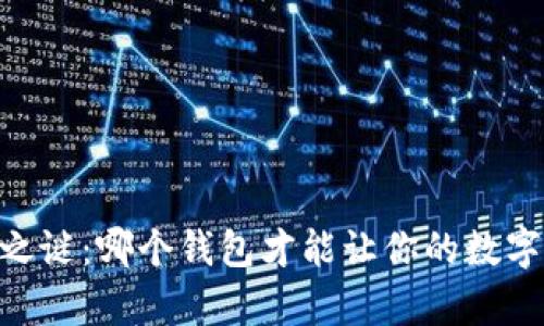 揭开USDT储存之谜：哪个钱包才能让你的数字资产安全无忧？