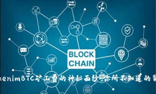 揭开TokenimBTC矿工费的神秘面纱：你所不知道的背后真相