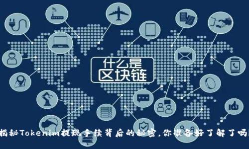 揭秘Tokenim提现手续背后的秘密，你准备好了解了吗？