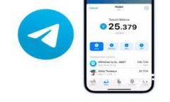 揭秘Tokenim提现手续背后的