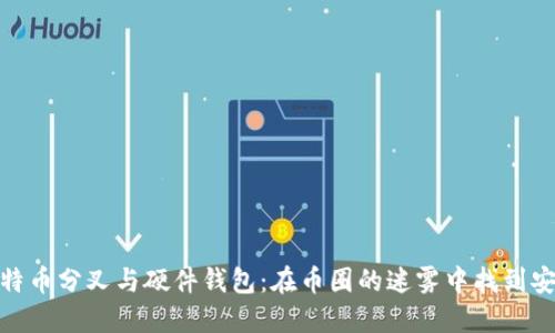 揭秘比特币分叉与硬件钱包：在币圈的迷雾中找到安全之道