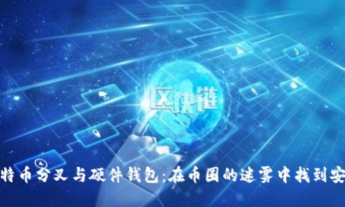 揭秘比特币分叉与硬件钱包：在币圈的迷雾中找到安全之道