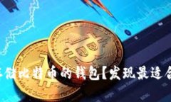 如何选择长期存储比特币的钱包？发现最适合你
