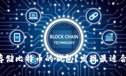 如何选择长期存储比特币的钱包？发现最适合你的安全方案！