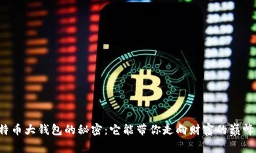 比特币大钱包的秘密：它能带你走向财富的巅峰吗？