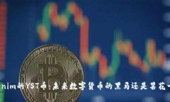 Tokenim的YST币：未来数字货