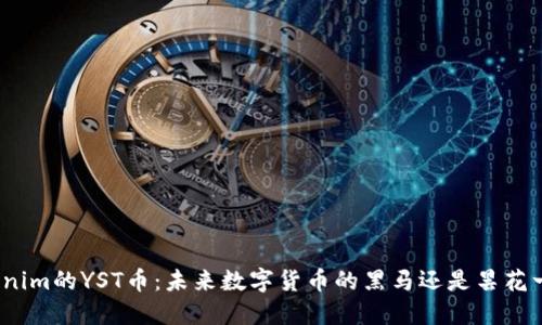 Tokenim的YST币：未来数字货币的黑马还是昙花一现？