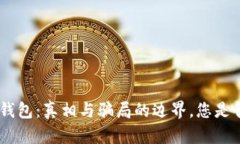 Tokenim钱包：真相与骗局的边界，您是否会中招？