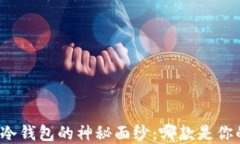 揭开虚拟币冷钱包的神秘