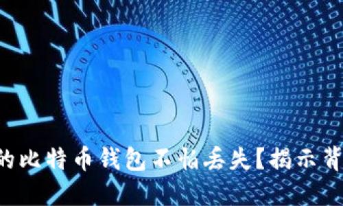 为什么你的比特币钱包不怕丢失？揭示背后的秘密！