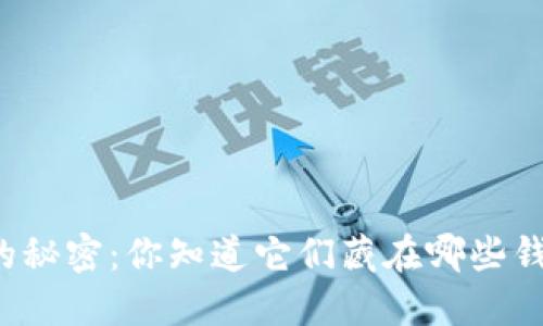 比特币的秘密：你知道它们藏在哪些钱包里吗？