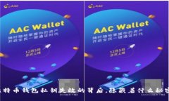 比特币钱包私钥失效的背