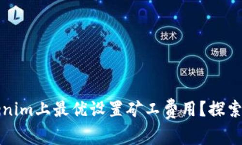 如何在Tokenim上最优设置矿工费用？探索背后的秘密