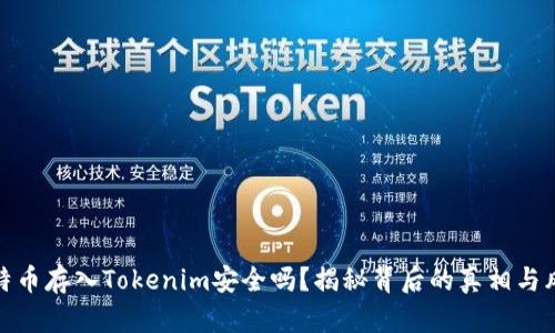 比特币存入Tokenim安全吗？揭秘背后的真相与风险