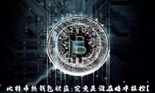 
比特币热钱包被盗：究竟是谁在暗中操控？