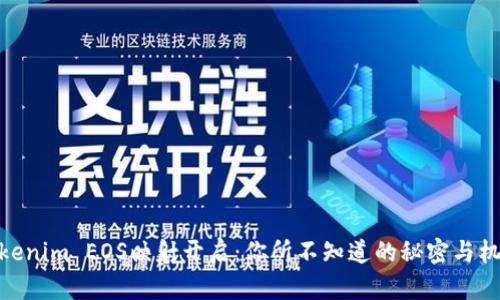 Tokenim EOS映射开启：你所不知道的秘密与机会