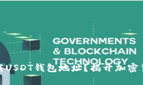 如何安全地下载USDT钱包地址？揭开加密货币的神秘面纱