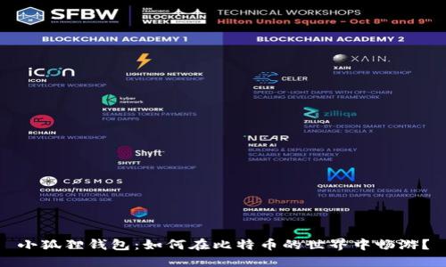 小狐狸钱包：如何在比特币的世界中畅游？