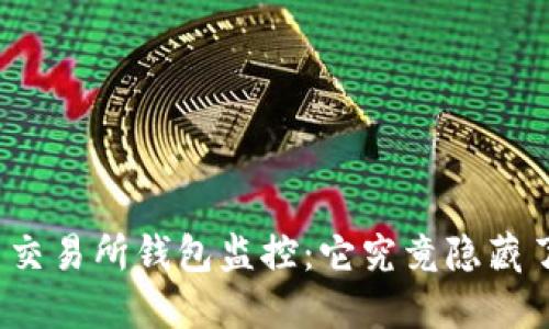 揭秘比特币交易所钱包监控：它究竟隐藏了哪些秘密？