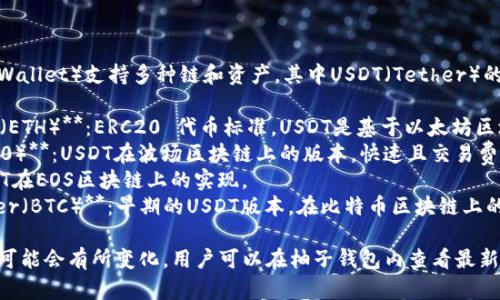 柚子钱包（YoYo Wallet）支持多种链和资产，其中USDT（Tether）的链名称包括：

1. **Ethereum（ETH）**：ERC20 代币标准，USDT是基于以太坊区块链的标准代币。
2. **Tron（TRC20）**：USDT在波场区块链上的版本，快速且交易费用较低。
3. **EOS**：USDT在EOS区块链上的实现。
4. **Omni Layer（BTC）**：早期的USDT版本，在比特币区块链上的表现。

具体的支持情况可能会有所变化，用户可以在柚子钱包内查看最新的支持链信息。