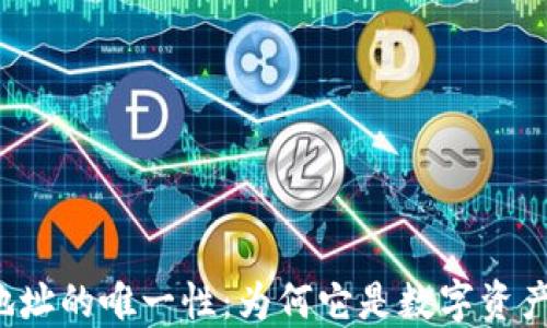 
区块链钱包地址的唯一性：为何它是数字资产安全的关键？