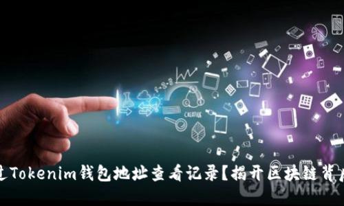 如何通过Tokenim钱包地址查看记录？揭开区块链背后的秘密