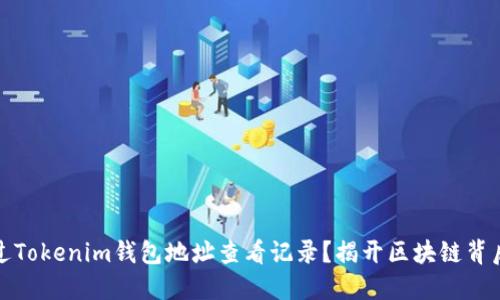 如何通过Tokenim钱包地址查看记录？揭开区块链背后的秘密