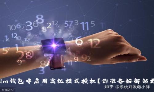 如何在Tokenim钱包中启用高级模式授权？你准备好解锁更多功能了吗？