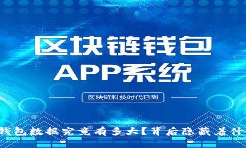 比特币钱包数据究竟有多大？背后隐藏着什么秘密？
